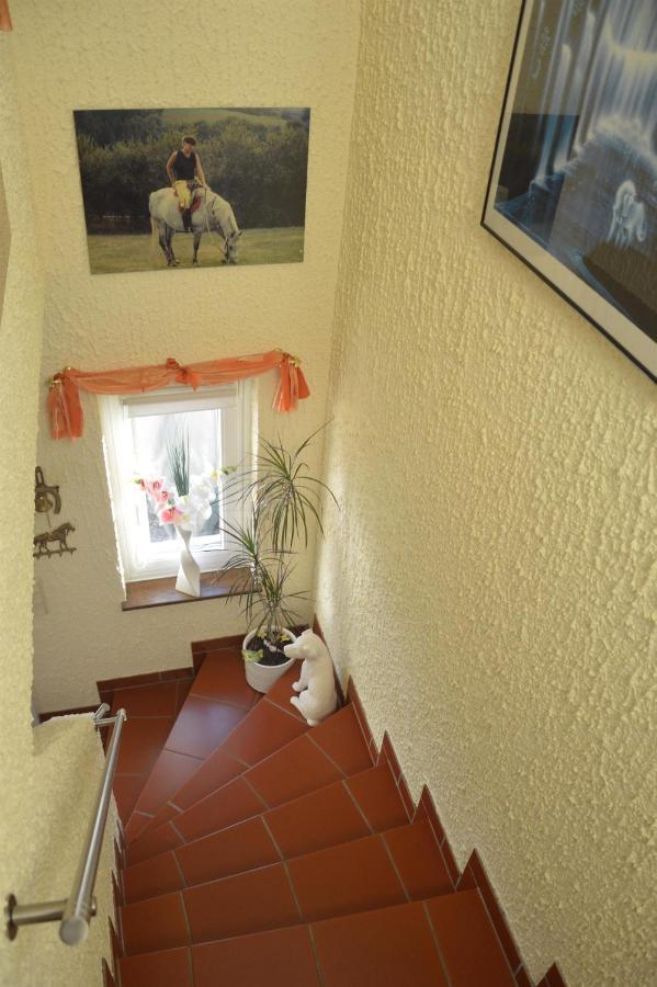 Ferienwohnung Auszeit Waxweiler Kültér fotó